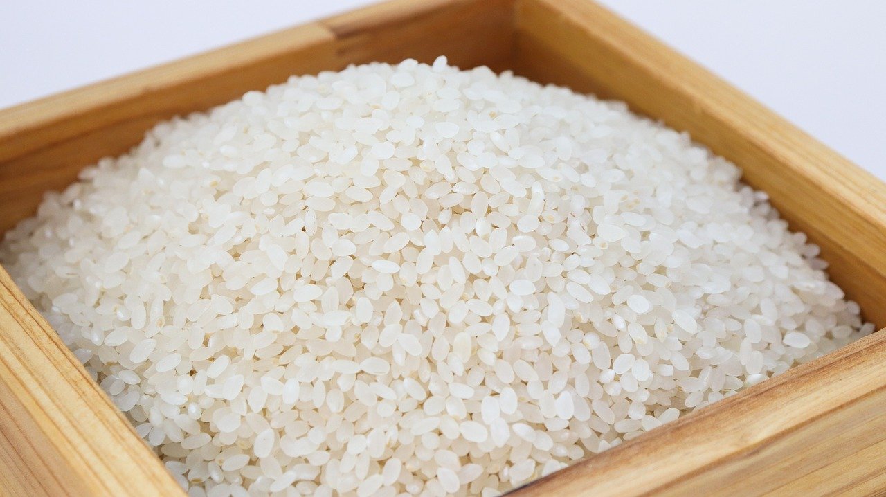 La chine et le riz. 